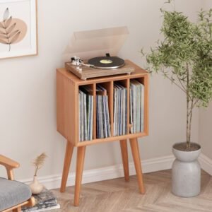 Vintage Vinyl Record Storage Rack